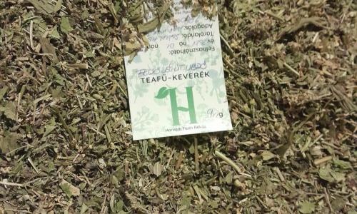 Felső légút tisztító