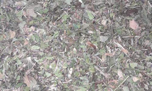 Vércukorszint javító