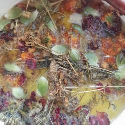 Ekcémára -érlelés