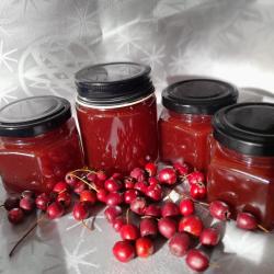 Galagonya gyümölcs 1