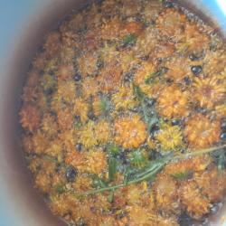 Körömvirág "sütés" -kivonás- technológia"