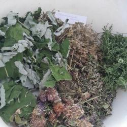 Termékenység fokozó -szárítmányok